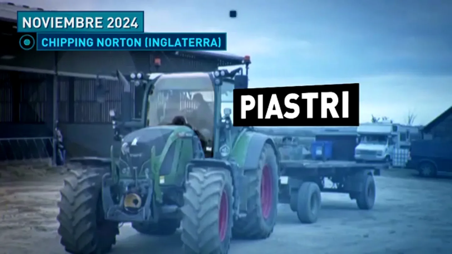 Piastri Piastri