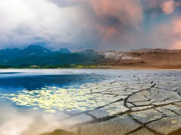 Una imagen sobre el impacto del cambio climático Una imagen sobre el impacto del cambio climático