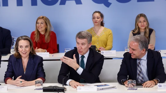 El líder del PP, Alberto Núñez Feijóo en la reunión del Comité Ejecutivo Nacional del PP El líder del PP, Alberto Núñez Feijóo en la reunión del Comité Ejecutivo Nacional del PP