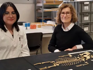 investigación enterramientos infantiles de bebés iberos investigación enterramientos infantiles de bebés iberos