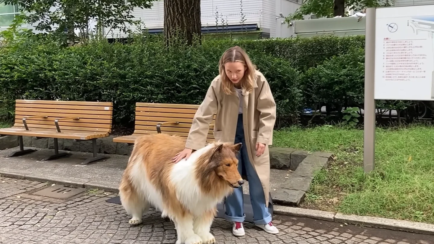 Toco, el hombre convertido en un perro Toco, el hombre convertido en un perro