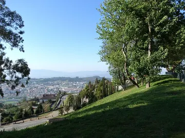 Braga Braga
