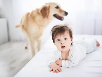 un bebé y un perro en la habitación un bebé y un perro en la habitación