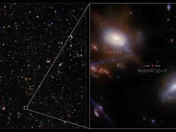 Galaxias Galaxias