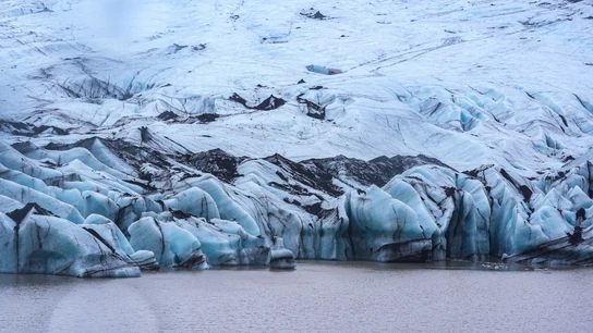 El hielo del Ártico El hielo del Ártico