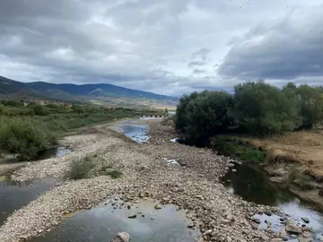 neandertales neandertales