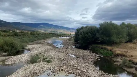 neandertales neandertales