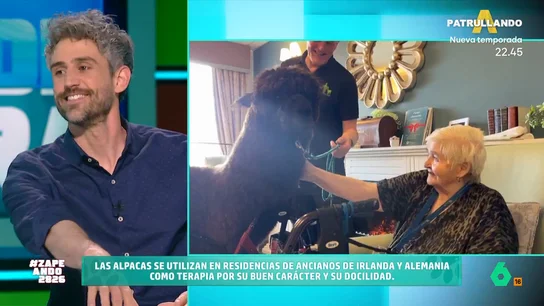 Víctor Algra presenta a Paddy y Oscar, dos alpacas con un trabajo muy especial: son animales terapéuticos Las dos alpacas visitan una residencia de ancianos en Irlanda para acompañar a los ancianos. "Estos animales tienen muy buen carácter, son muy curiosos", indica el veterinario, por ello son perfectos para este tipo de terapias.