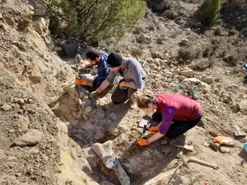 Yacimiento de Cabra de Mora Yacimiento de Cabra de Mora