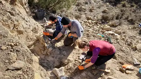 Yacimiento de Cabra de Mora Yacimiento de Cabra de Mora