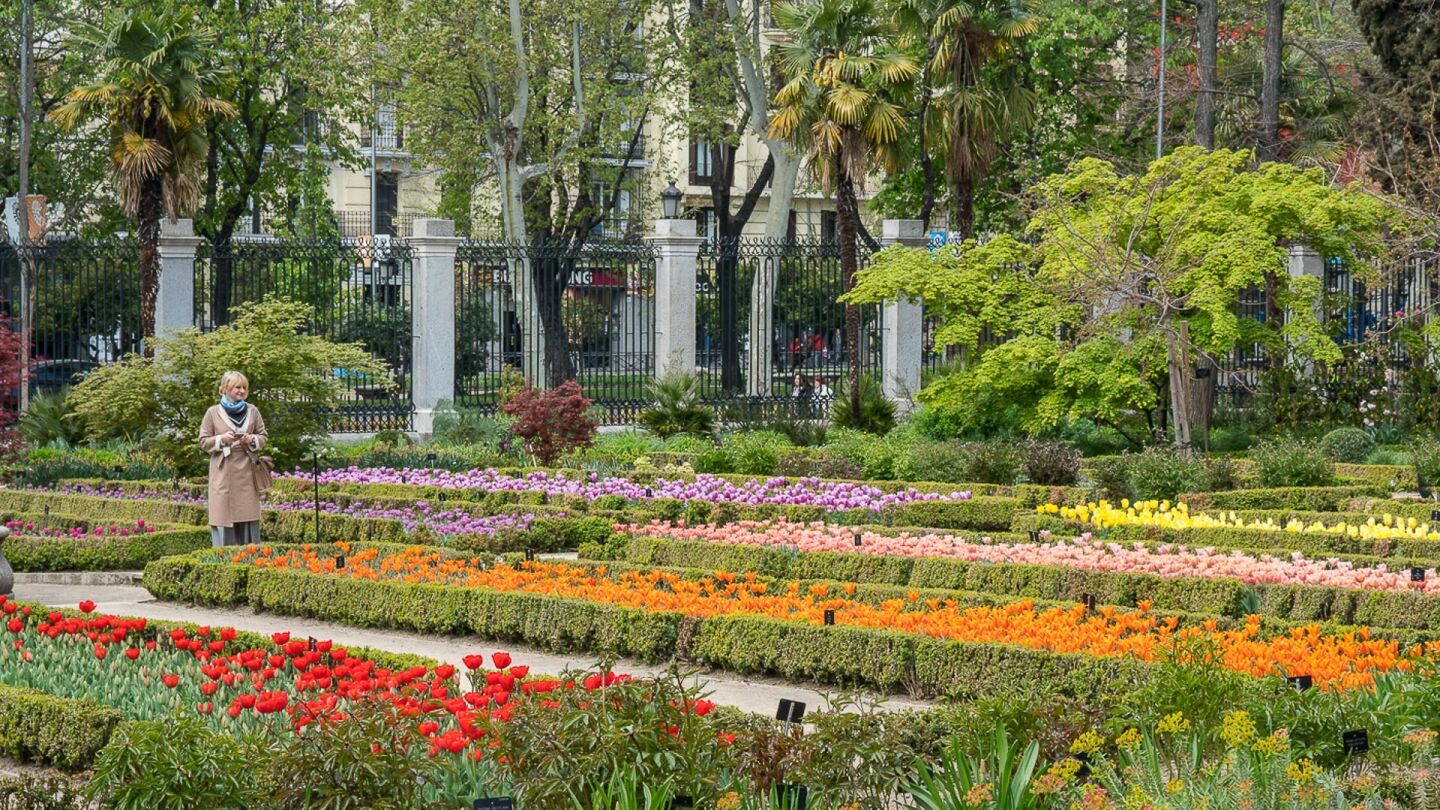Tulipanes del Real Jard&iacute;n Bot&aacute;nico de Madrid