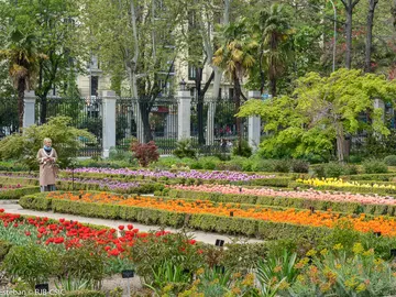 Tulipanes del Real Jardín Botánico de Madrid Tulipanes del Real Jardín Botánico de Madrid