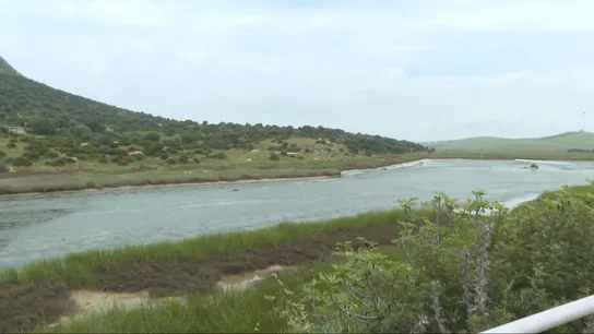 Zahara se planta ante un "pelotazo urbanístico" que destrozará un paraje natural clave para el camaleón Zahara se planta ante un "pelotazo urbanístico" que destrozará un paraje natural clave para el camaleón