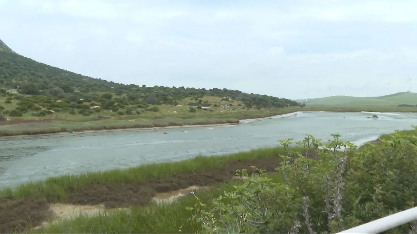 Zahara se planta ante un "pelotazo urbanístico" que destrozará un paraje natural clave para el camaleón Zahara se planta ante un "pelotazo urbanístico" que destrozará un paraje natural clave para el camaleón