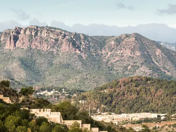 Diversidad ausente o como los humanos impactan en la naturaleza a nivel global Diversidad ausente o como los humanos impactan en la naturaleza a nivel global
