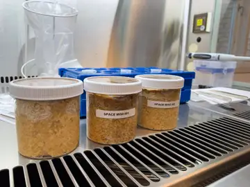 Miso fermentado en el espacio Miso fermentado en el espacio