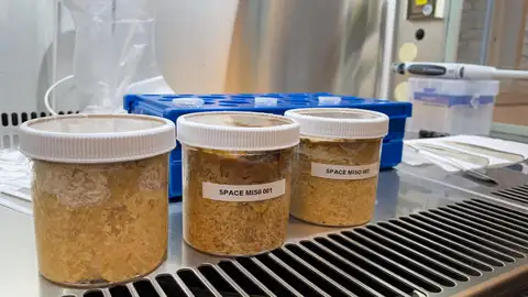 Miso fermentado en el espacio Miso fermentado en el espacio