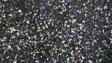 contaminación, microplásticos, IA, péptidos contaminación, microplásticos, IA, péptidos