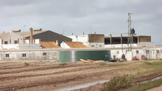 Fuertes lluvias, inundaciones y cortes en el transporte: Andalucía se lleva la peor parte de la borrasca Nuria Fuertes lluvias, inundaciones y cortes en el transporte: Andalucía se lleva la peor parte de la borrasca Nuria