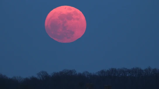 Una superluna rosa, en marzo de 2011, vista desde Reino Unido Una superluna rosa, en marzo de 2011, vista desde Reino Unido