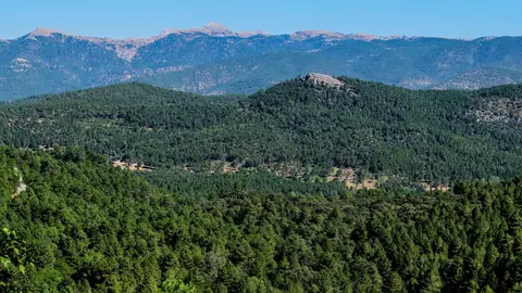 Sierra de Albacete Sierra de Albacete
