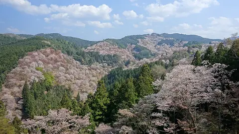 Parque Nacional de Yoshino-Kumano Parque Nacional de Yoshino-Kumano