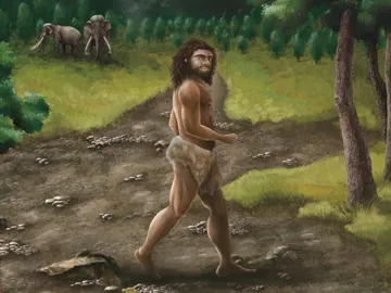 Ilustración de un denisovano caminando en Taiwán. Ilustración de un denisovano caminando en Taiwán.