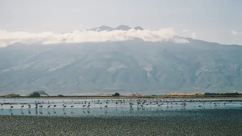 Panorámica del Lago Natron, en Tanzania Panorámica del Lago Natron, en Tanzania