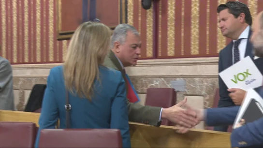 El PP crea para Vox una oficina antiabortista en Sevilla El PP crea para Vox una oficina antiabortista en Sevilla