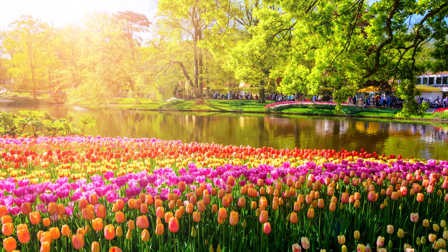 Parque Keukenhof en Holanda Parque Keukenhof en Holanda