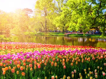 Parque Keukenhof en Holanda Parque Keukenhof en Holanda