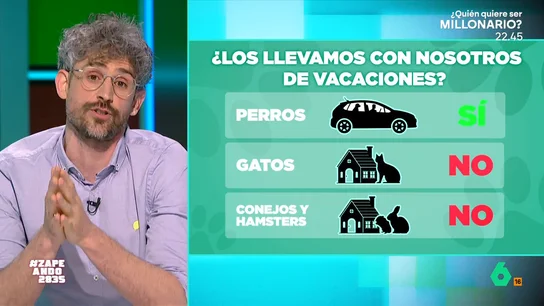 ¿Llevar o no a tu mascota de vacaciones? El veterinario Víctor Algra te resuelve esta duda ¿Llevar o no a tu mascota de vacaciones? El veterinario Víctor Algra te resuelve esta duda
