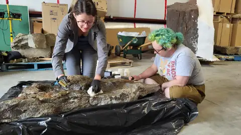Huella del espécimen tipo de Ruopodosaurus Huella del espécimen tipo de Ruopodosaurus