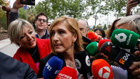 La exconsellera Salomé Pradas a su llegada a declarar en calidad de investigada La exconsellera Salomé Pradas a su llegada a declarar en calidad de investigada