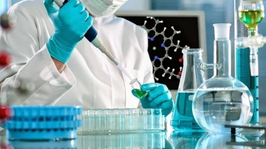 Una inseminación artificial llevada a cabo en un laboratorio Una inseminación artificial llevada a cabo en un laboratorio