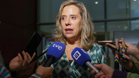 La consejera de Transición Ecológica, Industria y Comercio, Belarmina Díaz atiende a los medios La consejera de Transición Ecológica, Industria y Comercio, Belarmina Díaz atiende a los medios