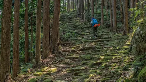 Camino histórico Kumano Kodo Camino histórico Kumano Kodo