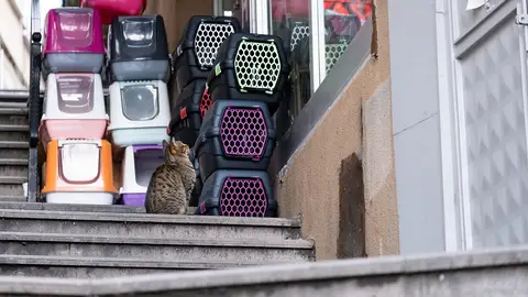 Trasportines par mascotas Trasportines par mascotas