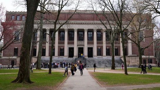 Universidad de Harvard Universidad de Harvard