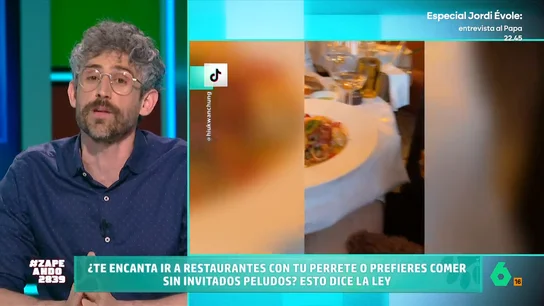 ¿Puedes ir con tu perro a un restaurante? Víctor Algra explica qué dice la ley de bienestar animal El veterinario indica que los animales de compañía pueden acceder a los restaurantes "siempre que dicho establecimiento lo permita". A pesar de ello, Víctor determina en qué lugares no pueden entrar nunca.