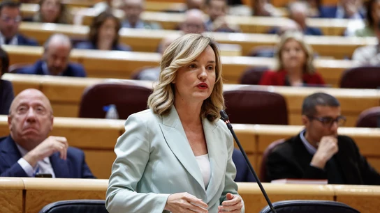 La ministra de Educación, Pilar Alegría, durante la sesión de control al Gobierno La ministra de Educación, Pilar Alegría, durante la sesión de control al Gobierno