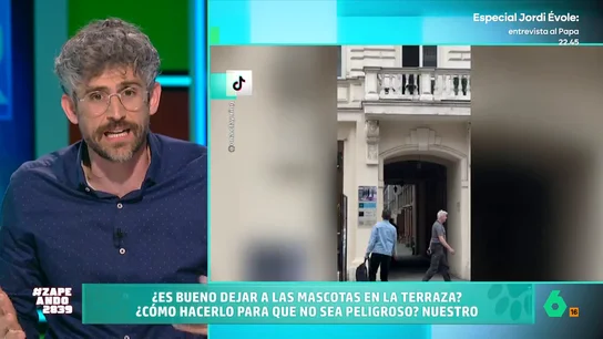 Víctor Algra cuenta si está permitido dejar a nuestras mascotas en el balcón o la terraza El veterinario explica qué dice la ley de bienestar animal sobre este hecho. Además, Víctor también explica qué precauciones se deben tomar si las mascotas van a poder acceder a estos lugares.