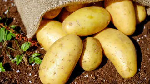 Patatas Patatas