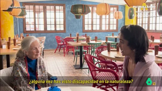 La curiosa pregunta de Jane Goodall a Inés Rodríguez: "¿Piensas en qué podamos ser un pedazo de polvo o no?" La reportera pudo charlar con la primatología en el Festival Starmus, un evento el que Goodall recibió una estrella en el 'Paseo de las Estrellas de la ciencia' en La Palma.