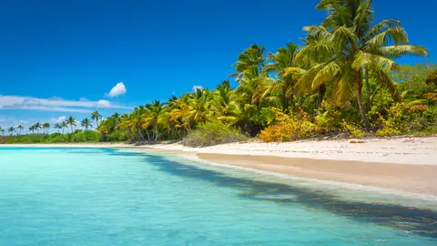 Punta Cana, en República Dominicana Punta Cana, en República Dominicana