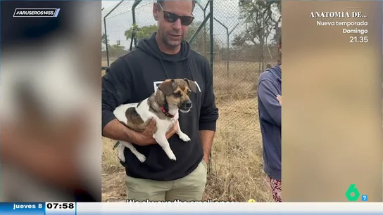 El divertido vídeo viral de este pequeño perro que le ladra a un león: "Yo creo que tiene posibilidades" El divertido vídeo viral de este pequeño perro que le ladra a un león: "Yo creo que tiene posibilidades"