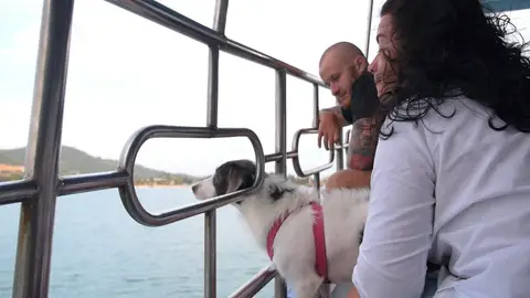 Una veterinaria revela el gesto que demuestra si tu mascota te ama o no Una veterinaria revela el gesto que demuestra si tu mascota te ama o no
