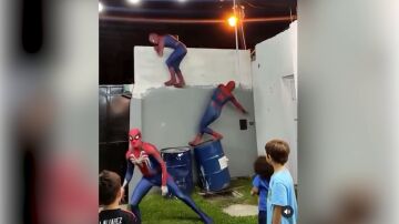 Spiderman