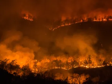 Incendio forestal Incendio forestal