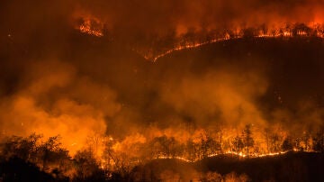 Incendio forestal